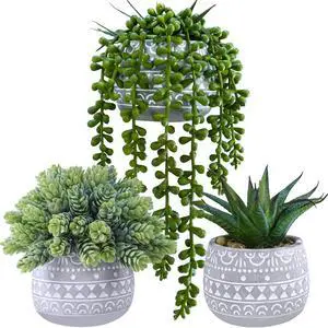 3 Pcs Assorted Small Potted Succulent Plants Artificial Aloe Hops String of Pearls Succulents in Gray Geometric Concrete Pots for Gifts Table Shelf Windowsill Indoor Outdoor Greenery Decor 3 Pcs Assorted Small Potted Succulent Plants Artificial Aloe Hops String of Pearls Succulents in Gray Geometric Concrete Pots for Gifts Table Shelf Windowsill Indoor Outdoor Greenery Decor
