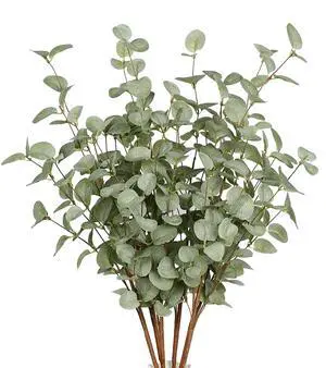 6 Pcs 27" Eucalyptus Stems Greenery Stems Eucalyptus Leaf Spray in Green Silk Plastic Plants Floral Artificial Plants for Home Party Wedding Decoration 6 Pcs 27" Eucalyptus Stems Greenery Stems Eucalyptus Leaf Spray in Green Silk Plastic Plants Floral Artificial Plants for Home Party Wedding Decoration