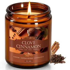 Fall Candle, Clove Cinnamon Scented Candles for Home, Natural Soy Autumn Candle Aromatherapy Candle, 7 oz Jar Candles Fall Gifts for Women Men Fall Candle, Clove Cinnamon Scented Candles for Home, Natural Soy Autumn Candle Aromatherapy Candle, 7 oz Jar Candles Fall Gifts for Women Men