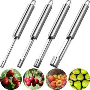 4 Pieces Multi Function Fruit Corer and Pitter Remover Set | Stainless Steel Pear Corer Pitter, 4 Sizes, for Home Kitchen, Pear, Cherry, Jujube and Red Date 4 Pieces Multi Function Fruit Corer and Pitter Remover Set | Stainless Steel Pear Corer Pitter, 4 Sizes, for Home Kitchen, Pear, Cherry, Jujube and Red Date