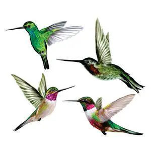 4-Pack Hummingbird Bird Strike Prevention Window Clings | Double-sided printing, Reusable static-cling vinyl, Helps birds see glass, Made in USA 4-Pack Hummingbird Bird Strike Prevention Window Clings | Double-sided printing, Reusable static-cling vinyl, Helps birds see glass, Made in USA