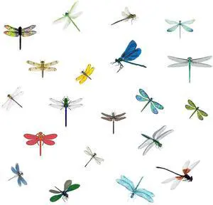 Colorful Dragonfly Anti-Collision Bird Strike Window Clings, 20 Pieces | Glass Reminder Static Decals, Avoid Bird Strikes, Decorate Your Glass Doors Windows Colorful Dragonfly Anti-Collision Bird Strike Window Clings, 20 Pieces | Glass Reminder Static Decals, Avoid Bird Strikes, Decorate Your Glass Doors Windows