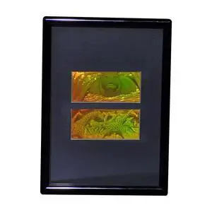 3D Girafe/Hippo 2-Channel 2-Up Hologram Picture (Framed), Collectible Photopolymer Type Film 3D Girafe/Hippo 2-Channel 2-Up Hologram Picture (Framed), Collectible Photopolymer Type Film
