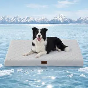Cooling Dog Bed for Crate, Q-Max>0.5 Cooling Mat with Removable Washable Cover, Orthopedic Egg Crate Foam Summer Pad for Extra Large Dogs, 41x27 Inch, Grey Cooling Dog Bed for Crate, Q-Max>0.5 Cooling Mat with Removable Washable Cover, Orthopedic Egg Crate Foam Summer Pad for Extra Large Dogs, 41x27 Inch, Grey