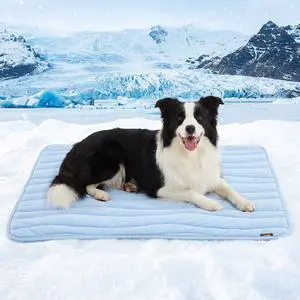 Cooling Mat for Extra Large Dogs XL - Thin Portable Pet Cooling Pad, Breathable and Washable Cool Fiber with Non-Slip Bottom, Outdoor Use for Summer, 44x32, Blue Cooling Mat for Extra Large Dogs XL - Thin Portable Pet Cooling Pad, Breathable and Washable Cool Fiber with Non-Slip Bottom, Outdoor Use for Summer, 44x32, Blue