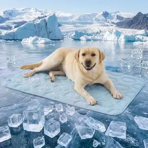 ApexCloud QMAX>0.5 Breathable XL Dog Cooling Mat,44x30 ApexCloud QMAX>0.5 Breathable XL Dog Cooling Mat,44x30