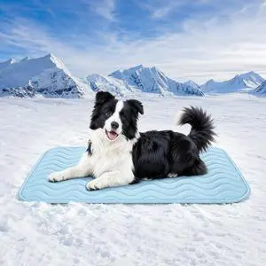 Dog Cooling Mat for Large and Medium Dogs, 36" x 22" Breathable Self-Cooling Pad, Portable Washable Non-Slip Pet Cooling Mat for Kennel, Sofa, Bed, Floor, Car Indoor Outdoor Summer Use Dog Cooling Mat for Large and Medium Dogs, 36" x 22" Breathable Self-Cooling Pad, Portable Washable Non-Slip Pet Cooling Mat for Kennel, Sofa, Bed, Floor, Car Indoor Outdoor Summer Use
