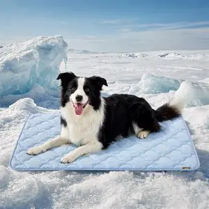 Dog Cooling Mat for Extra Large Dogs, Q-Max>0.5 Thin Breathable Crate Pad for Pet, Portable Washable Kennel Pad for Summer Outdoor, 41x27, Blue Dog Cooling Mat for Extra Large Dogs, Q-Max>0.5 Thin Breathable Crate Pad for Pet, Portable Washable Kennel Pad for Summer Outdoor, 41x27, Blue