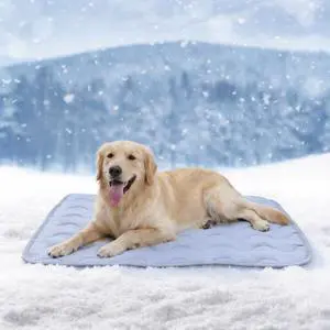 Dog Cooling Mat Non-Toxic Self Cooling Pad for Dogs Cats in Hot Summer Cool Pad Washable & Easy Clean Dog Cooling Mat Non-Toxic Self Cooling Pad for Dogs Cats in Hot Summer Cool Pad Washable & Easy Clean