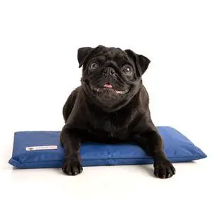Hydro Cooling Mini Mat for Dogs Dog Cooling Mat & Cooling Pad for Hot Weather Triple Layer Ice & Water Cooling System (18" x 10.5") Hydro Cooling Mini Mat for Dogs Dog Cooling Mat & Cooling Pad for Hot Weather Triple Layer Ice & Water Cooling System (18" x 10.5")