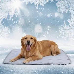 Washable Dog Cooling Mat Ice Silk Cool Mat for Pet Self Comfortable Blanket Dog Pad Washable Dog Cooling Mat Ice Silk Cool Mat for Pet Self Comfortable Blanket Dog Pad