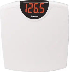 Electronic Scale in White Electronic Scale in White