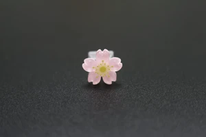Cute Flower Keycaps,3D Custom Keycaps Cherry Blossom ESC Key for Mechanical Keyboard,OEM R4 Profile Shine-Through Base Sakura Keycap (Pink) Cute Flower Keycaps,3D Custom Keycaps Cherry Blossom ESC Key for Mechanical Keyboard,OEM R4 Profile Shine-Through Base Sakura Keycap (Pink)
