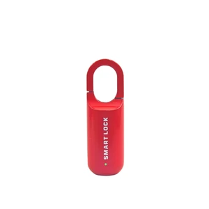 Small Fingerprint Padlcok for Locker,Gym,Backpack,Red Small Fingerprint Padlcok for Locker,Gym,Backpack,Red