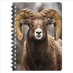 3D LiveLife Jotter - Bighorn Sheep from Deluxebase. Spiral Bound A6 5.5x4in Small Notebook with 80 Plain Recycled Pages. Pocket Sized Animal Notepad, Journal or Drawing Book with Cute Cover 3D LiveLife Jotter - Bighorn Sheep from Deluxebase. Spiral Bound A6 5.5x4in Small Notebook with 80 Plain Recycled Pages. Pocket Sized Animal Notepad, Journal or Drawing Book with Cute Cover