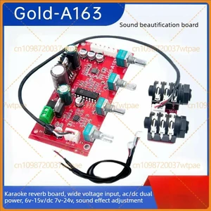 For Gold-A163 Microphone Preamp Reverb Board PT2399 Karaoke Audio Module For Gold-A163 Microphone Preamp Reverb Board PT2399 Karaoke Audio Module