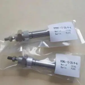 1pcs DSNU-12-25-P-A 19190 True Air Cylinder 1pcs Assurance Fast delivery 1pcs DSNU-12-25-P-A 19190 True Air Cylinder 1pcs Assurance Fast delivery