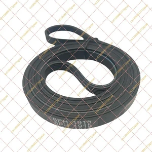 6PH1915 Dryer Belt 6PH 1915 Belts DE00-120 Euromaid Dryer Drum Multi V Belt G6B3 1915 6PH1915 Dryer Belt 6PH 1915 Belts DE00-120 Euromaid Dryer Drum Multi V Belt G6B3 1915