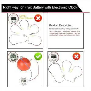 Fruit Science Experiment Kit with Electronic Clock and RGB LED for DIY Home Teaching Toy Fruit Science Experiment Kit with Electronic Clock and RGB LED for DIY Home Teaching Toy
