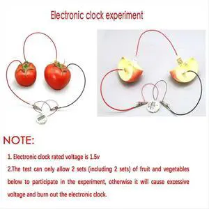 Fruit Science Experiment Kit for Home Teaching Toy, Lemon Potato Physics Teaching Experiment 3 Sets Fruit Science Experiment Kit for Home Teaching Toy, Lemon Potato Physics Teaching Experiment 3 Sets