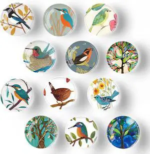 Bamsod 12 PCS Strong Glass Refrigerator Magnets, Pattern Series for Whiteboard, Office Cabinets, Round Fridge Stickers, Home Kitchen Decor (Bird) Bamsod 12 PCS Strong Glass Refrigerator Magnets, Pattern Series for Whiteboard, Office Cabinets, Round Fridge Stickers, Home Kitchen Decor (Bird)