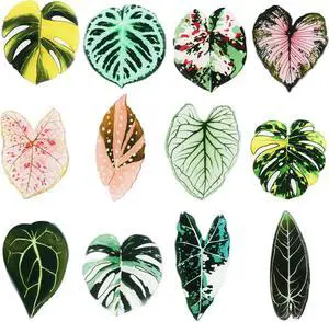 12pcs Leaf Shaped Plant Fridge Magnets Plant Lovers Gifts | Decorative Refrigerator Magnets for Kitchen Office School Locker Home Decor, Funny Gift Idea for Housewarming Birthday 12pcs Leaf Shaped Plant Fridge Magnets Plant Lovers Gifts | Decorative Refrigerator Magnets for Kitchen Office School Locker Home Decor, Funny Gift Idea for Housewarming Birthday