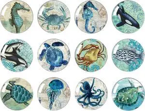 Strong Glass Refrigerator Stickers,12Pcs Magnets for Fridge,Funny Fridge Magnet Shape,Cute Small Tiny Magnet for Kitchen Whiteboard Door Decorative (Marine Animals Refrigerator Stickers) Strong Glass Refrigerator Stickers,12Pcs Magnets for Fridge,Funny Fridge Magnet Shape,Cute Small Tiny Magnet for Kitchen Whiteboard Door Decorative (Marine Animals Refrigerator Stickers)