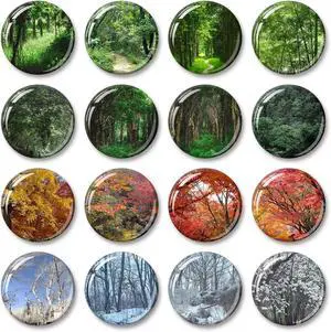 16 Pcs Resin Fridge Magnets, Seasons of the Forest Magnets | Scratch-Proof & Fade-Resistant, Cute Small Funny Decor for Whiteboard Kitchen Office Locker Cabinet School, Ideal Gift 16 Pcs Resin Fridge Magnets, Seasons of the Forest Magnets | Scratch-Proof & Fade-Resistant, Cute Small Funny Decor for Whiteboard Kitchen Office Locker Cabinet School, Ideal Gift