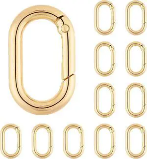DEVPSISR 12Pack 1 Inch Small Carabiner Spring Hooks Metal Oval Clip for Purse Keychain Replacement,Climbing Hiking, Wallet,Car Key Rings DEVPSISR 12Pack 1 Inch Small Carabiner Spring Hooks Metal Oval Clip for Purse Keychain Replacement,Climbing Hiking, Wallet,Car Key Rings