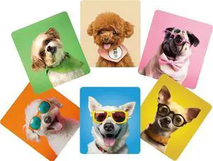 Glasses Cleaning Cloth for Eyeglasses - Multicolor Eyeglass Clean Cloths - Lens Cleaning Cloth for Camera, Glasses, Screens, Phones and Delicate Surfaces, Cute Design- 6x7in Glasses Cleaning Cloth for Eyeglasses - Multicolor Eyeglass Clean Cloths - Lens Cleaning Cloth for Camera, Glasses, Screens, Phones and Delicate Surfaces, Cute Design- 6x7in