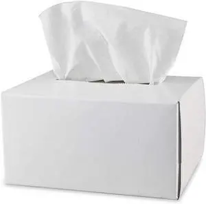 Pyramex Safety Products LT300 Lens Cleaning Tissues, Package of 300 White Pyramex Safety Products LT300 Lens Cleaning Tissues, Package of 300 White