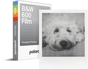B&W Film for 600 (6003) | B&W Film for 600 (6003) B&W Film for 600 (6003) | B&W Film for 600 (6003)