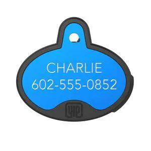 ID Custom Engraved Locator - Works with Apple Find My (No GPS Subscription Or Monthly Fee) Personalized Tracker Device, Blue Oval ID Custom Engraved Locator - Works with Apple Find My (No GPS Subscription Or Monthly Fee) Personalized Tracker Device, Blue Oval