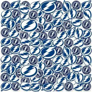 NHL Tampa Bay Lightning Team Logos 150 Vinyl Stickers Waterproof Die-Cut NHL Tampa Bay Lightning Team Logos 150 Vinyl Stickers Waterproof Die-Cut