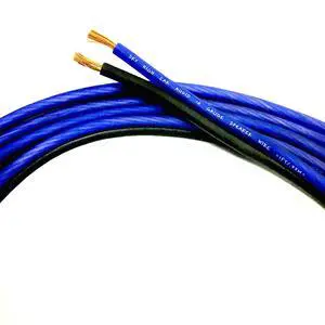 10' feet True 10 Gauge AWG CCA Speaker Wire Car Home Audio 10' feet True 10 Gauge AWG CCA Speaker Wire Car Home Audio