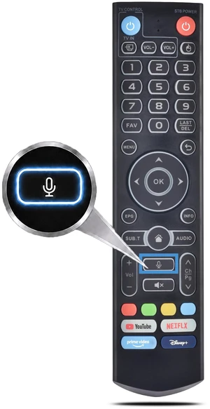 for vSeeBox V3 Pro Replacement Backlit Voice Remote Control,Compatible with vSee Box V6 Plus/Max V5 Pro V3 Plus/V3/V2/V1 Max/Elite Ultra for vSeeBox V3 Pro Replacement Backlit Voice Remote Control,Compatible with vSee Box V6 Plus/Max V5 Pro V3 Plus/V3/V2/V1 Max/Elite Ultra