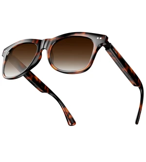 Smart Glasses for Women & Men, Polarized Bluetooth Audio Sunglasses Open-Ear Audio, 10H Playtime, Hands-Free Calls, Touch Control, 33g Lightweight, UV/Blue Light Protection for Travel Daily Use Smart Glasses for Women & Men, Polarized Bluetooth Audio Sunglasses Open-Ear Audio, 10H Playtime, Hands-Free Calls, Touch Control, 33g Lightweight, UV/Blue Light Protection for Travel Daily Use