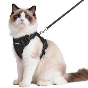 Cat Harness and Leash Set, Escape Proof Vest, Black Cat Harness and Leash Set, Escape Proof Vest, Black