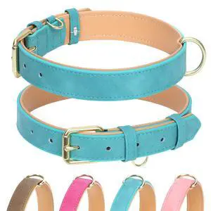 Soft Padded Leather Dog Collar for Large Dogs (Teal, 15-20.5") Soft Padded Leather Dog Collar for Large Dogs (Teal, 15-20.5")