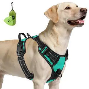 No Pull Dog Harness for Large Dogs, Front Clip, Teal No Pull Dog Harness for Large Dogs, Front Clip, Teal