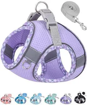 Dog Harness for Small Medium Dogs No Pull, Puppy Harness and Leash Set, Step in Dog Harness for Walking, Running, Training, Small Dog Vest(Purple, S) Dog Harness for Small Medium Dogs No Pull, Puppy Harness and Leash Set, Step in Dog Harness for Walking, Running, Training, Small Dog Vest(Purple, S)