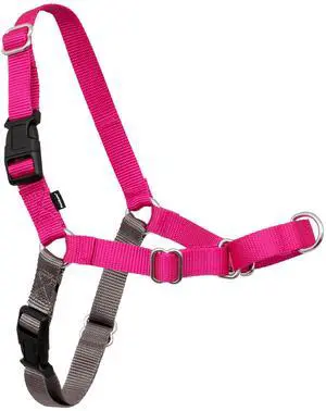 Easy Walk Harness, No Pull Dog Harness, Medium, Raspberry Easy Walk Harness, No Pull Dog Harness, Medium, Raspberry