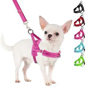 No Pull Small Dog Harness and Leash Set with Front Clip No Pull Small Dog Harness and Leash Set with Front Clip