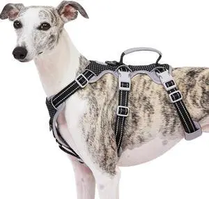 Escape Proof Harness, No Slip Dog Harness Escape Proof, Fully Reflective Harness with Handle, Breathable, Durable, Adjustable Vest for Medium Dogs Walking and Training Gear (Black, M) Escape Proof Harness, No Slip Dog Harness Escape Proof, Fully Reflective Harness with Handle, Breathable, Durable, Adjustable Vest for Medium Dogs Walking and Training Gear (Black, M)