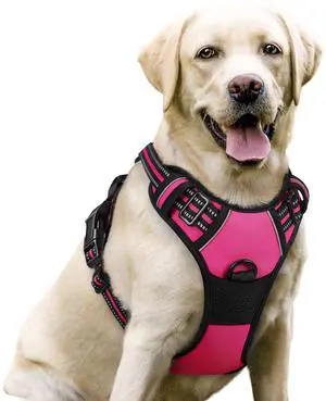 Dog Harness, No Pull for Large Dogs with 2 Leash Clips, Pet Vest Dog Harness, No Pull for Large Dogs with 2 Leash Clips, Pet Vest