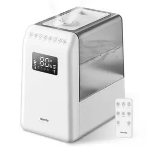 6L Top-Fill Warm and Cool Mist Humidifier, 600ml/h for 821ft² 6L Top-Fill Warm and Cool Mist Humidifier, 600ml/h for 821ft²