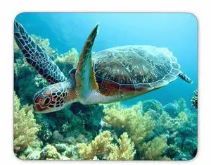 Green sea Turtle Natural Rubber Quality Creative Mouse Pad Green sea Turtle Natural Rubber Quality Creative Mouse Pad