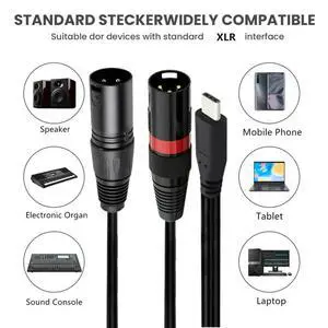 USB Type C Male To 2 XLR Male Amplifier Stereo Audio Cable for phones Laptop USB Type C Male To 2 XLR Male Amplifier Stereo Audio Cable for phones Laptop