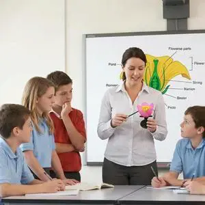Magnified Peach Blossom Model With Visible Stamen And Pistil Parts For School Classroom Teaching Demonstration Magnified Peach Blossom Model With Visible Stamen And Pistil Parts For School Classroom Teaching Demonstration