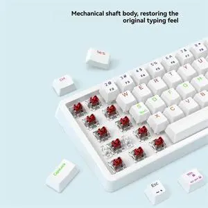 68 Key Mechanical Keyboard USB Wired RGB Backlight LED Red Switch Keyboard for Game PC Laptop Office 68 Key Mechanical Keyboard USB Wired RGB Backlight LED Red Switch Keyboard for Game PC Laptop Office
